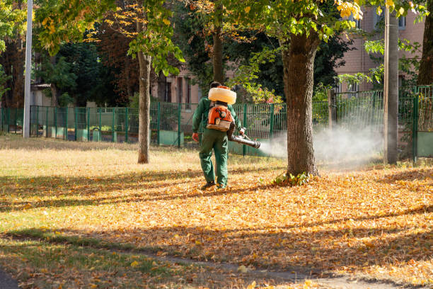 Best Exterminator Services  in River Road, OR