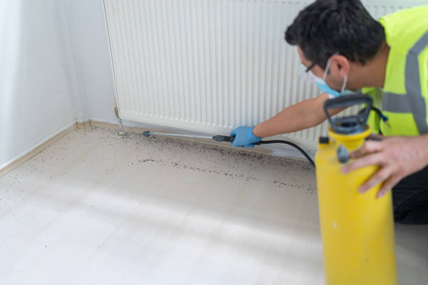 Best Cockroach Control Services  in River Road, OR